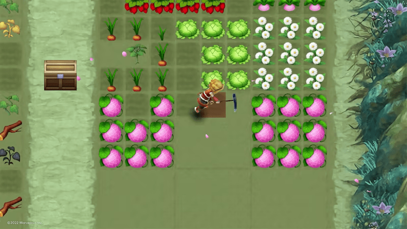 Rune Factory 3 Special Switch NSP ROM XCI V1.0.4 Download screenshot
